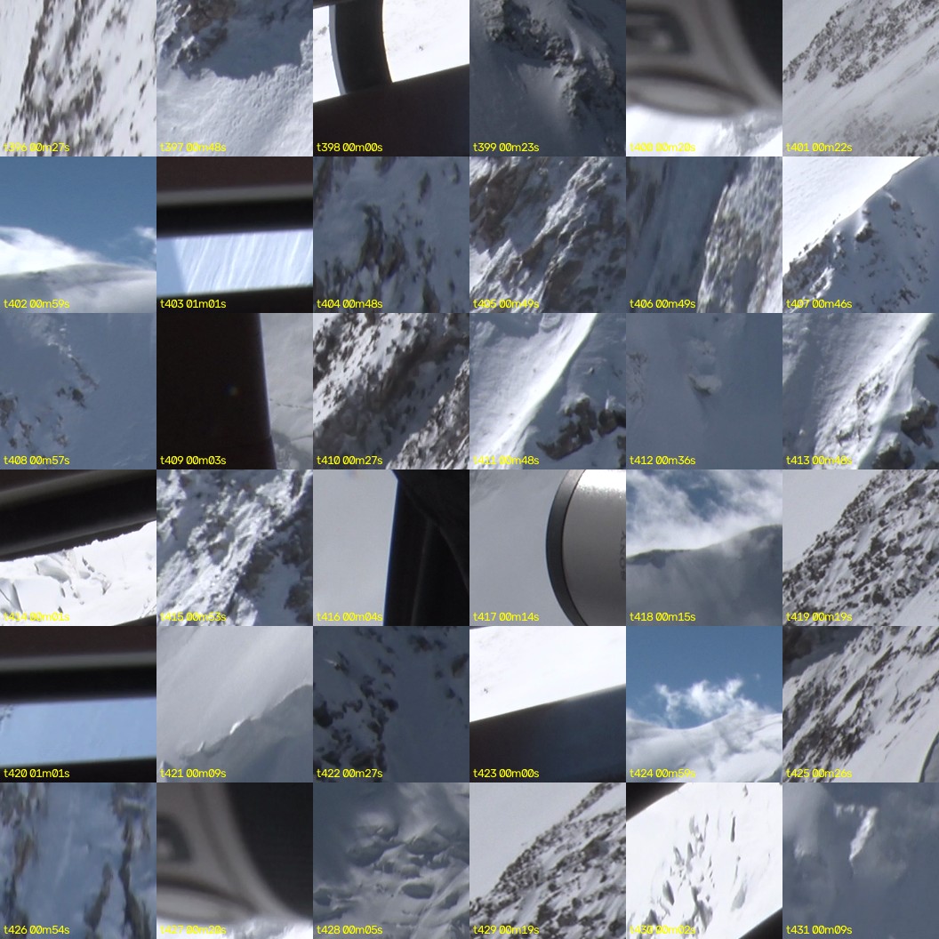 montage_11.jpg