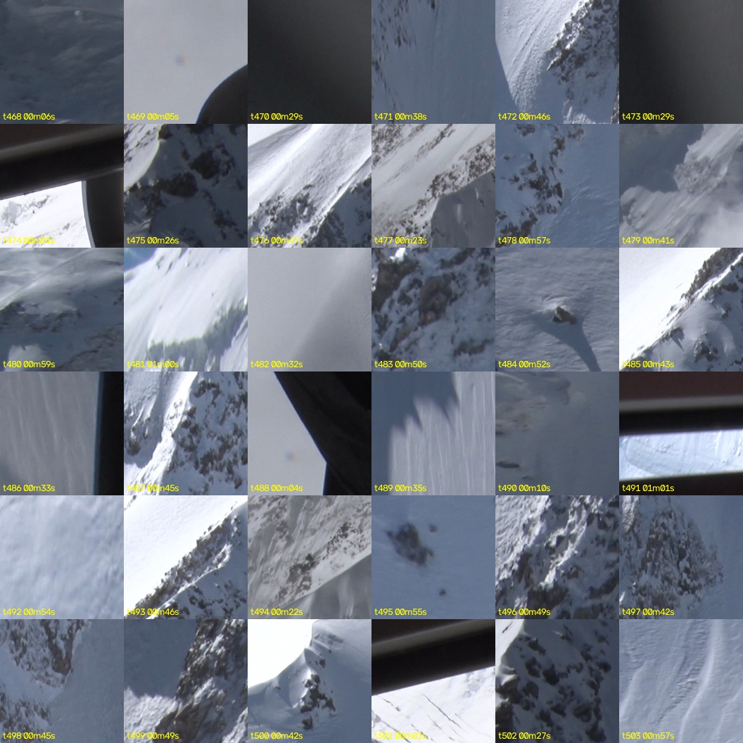 montage_13.jpg