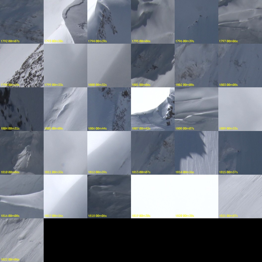 montage_22.jpg