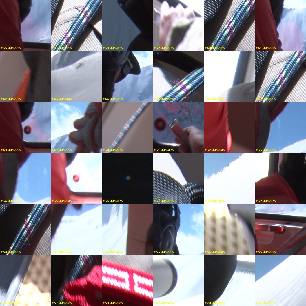 montage_01.jpg