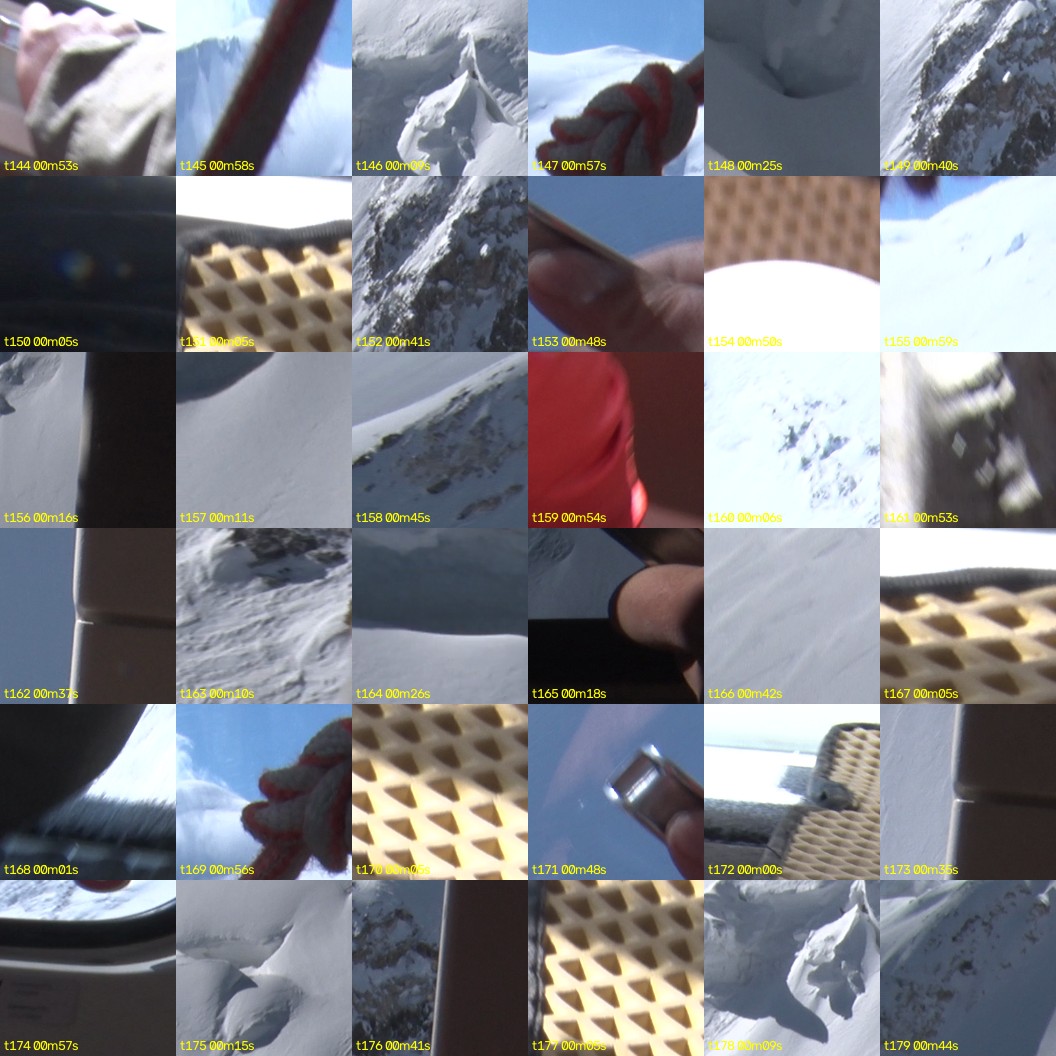 montage_04.jpg