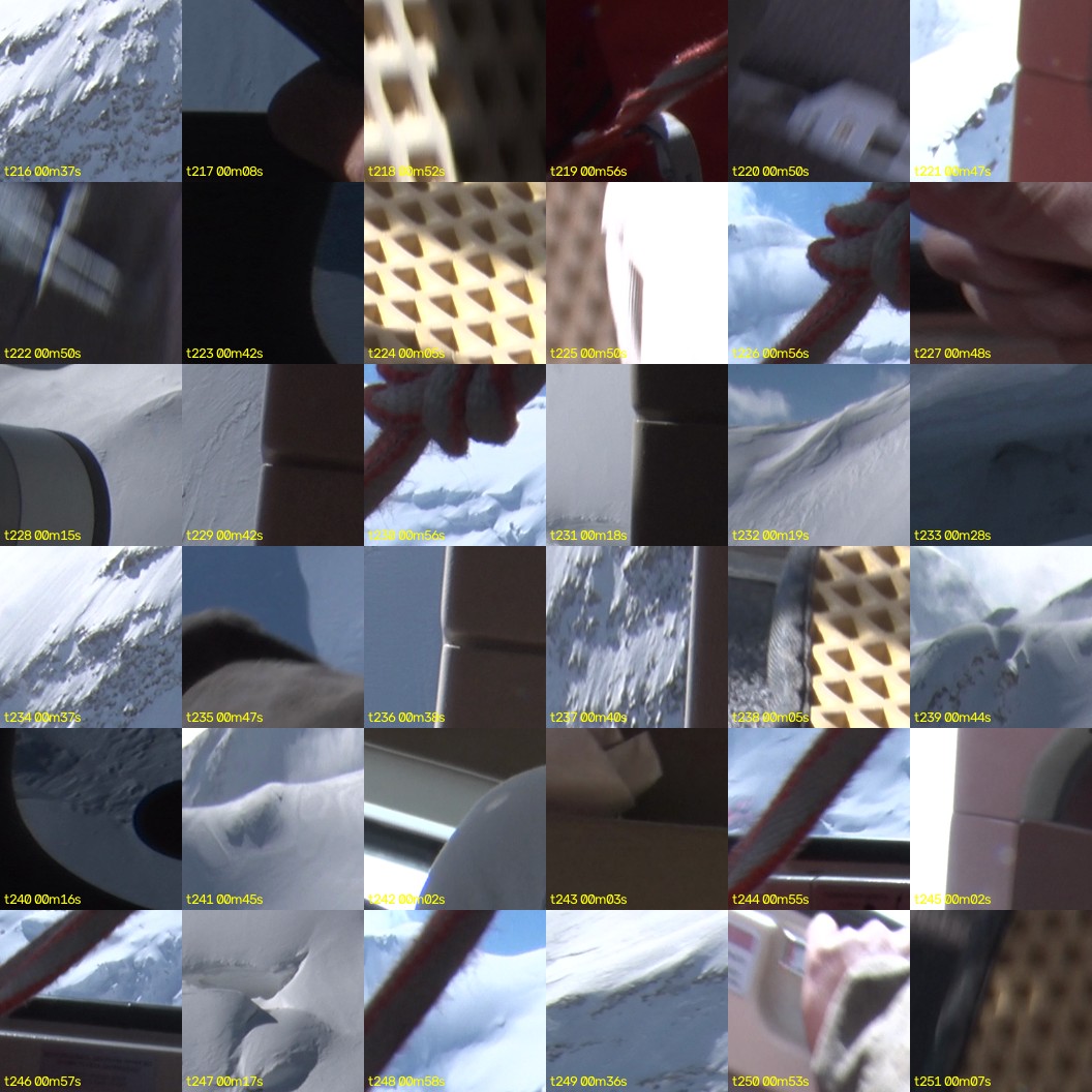 montage_06.jpg