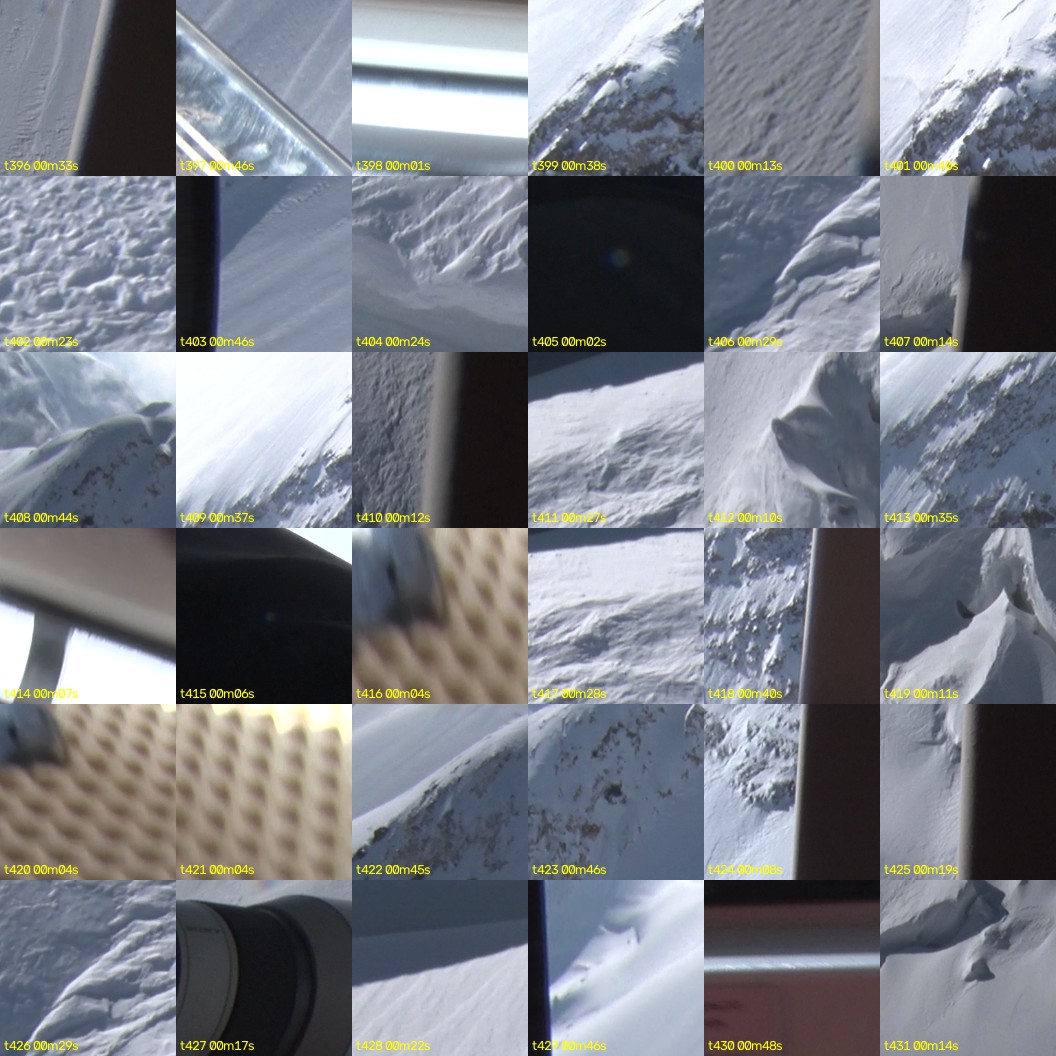 montage_11.jpg