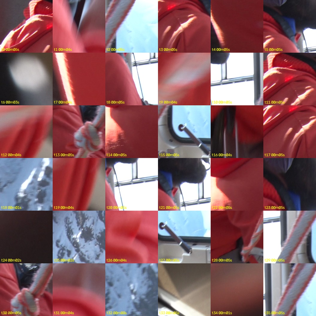 montage_00.jpg