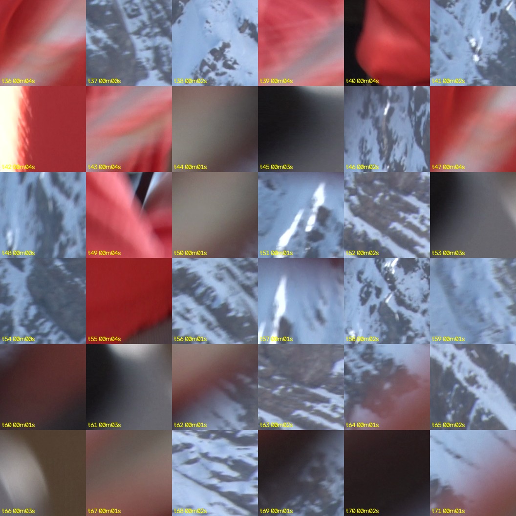 montage_01.jpg