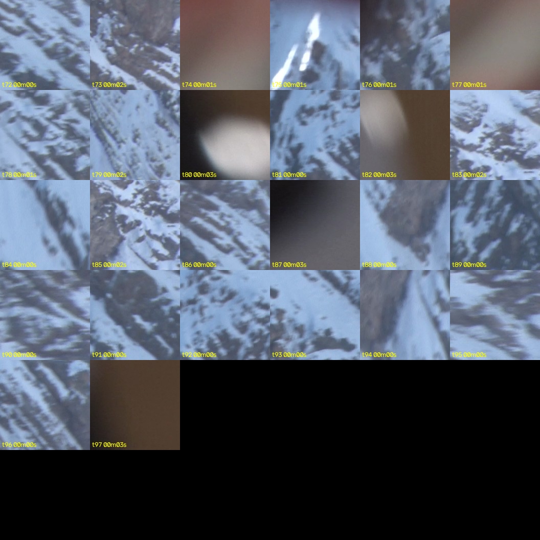 montage_02.jpg