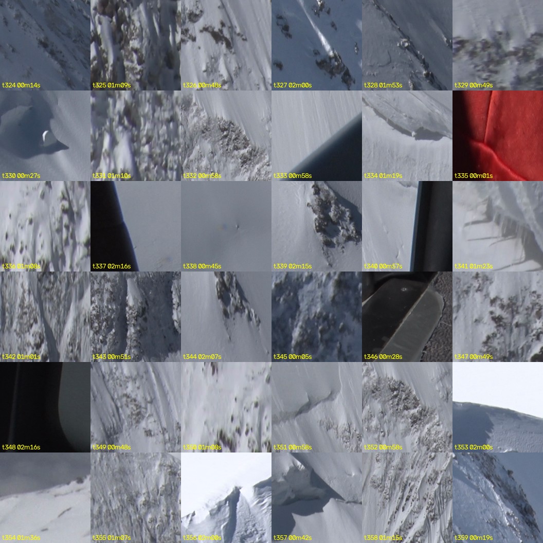 montage_09.jpg