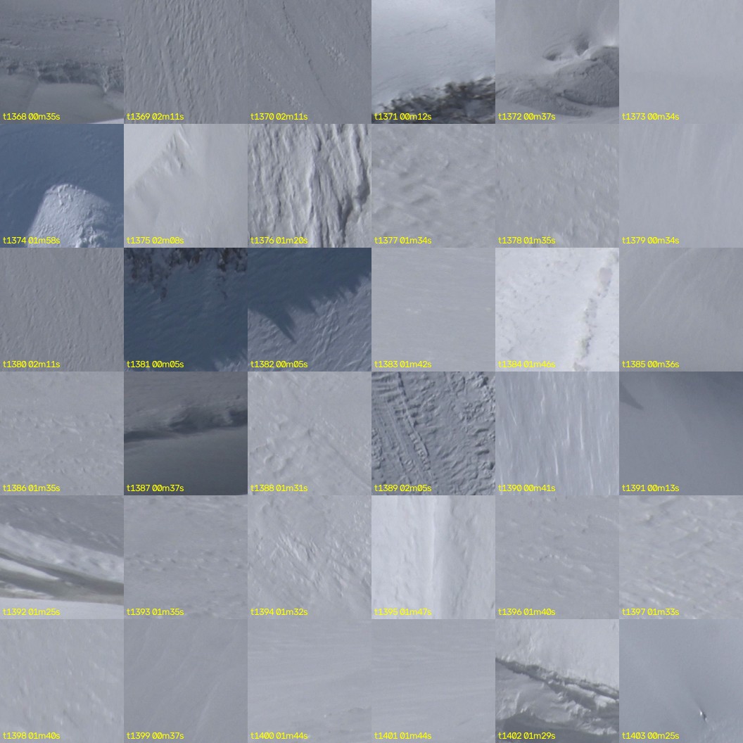 montage_38.jpg