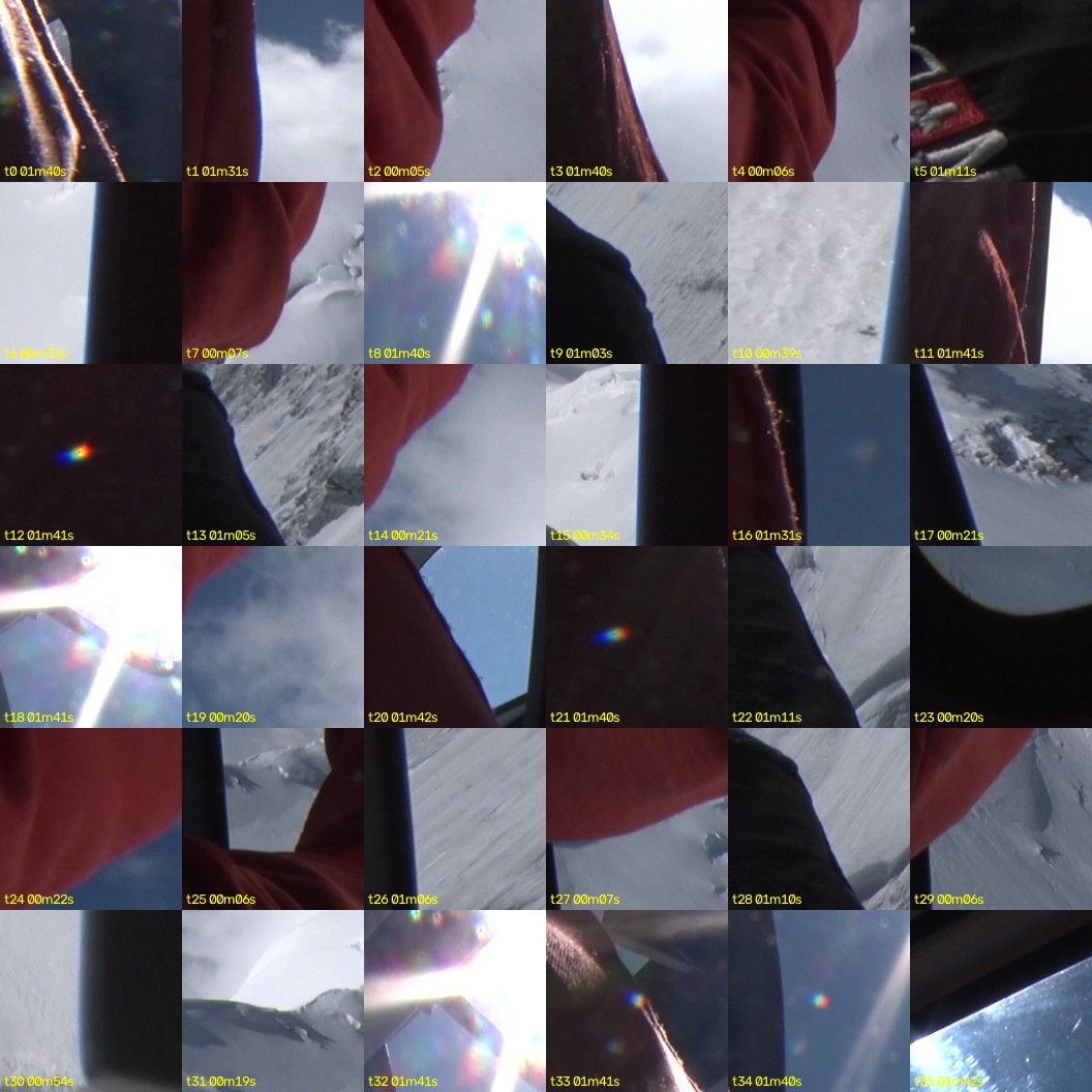 montage_00.jpg