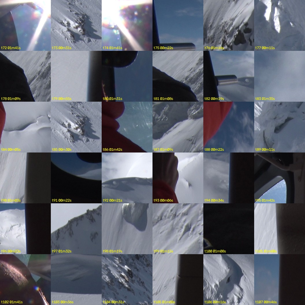 montage_02.jpg