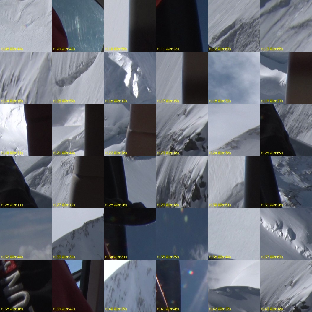 montage_03.jpg