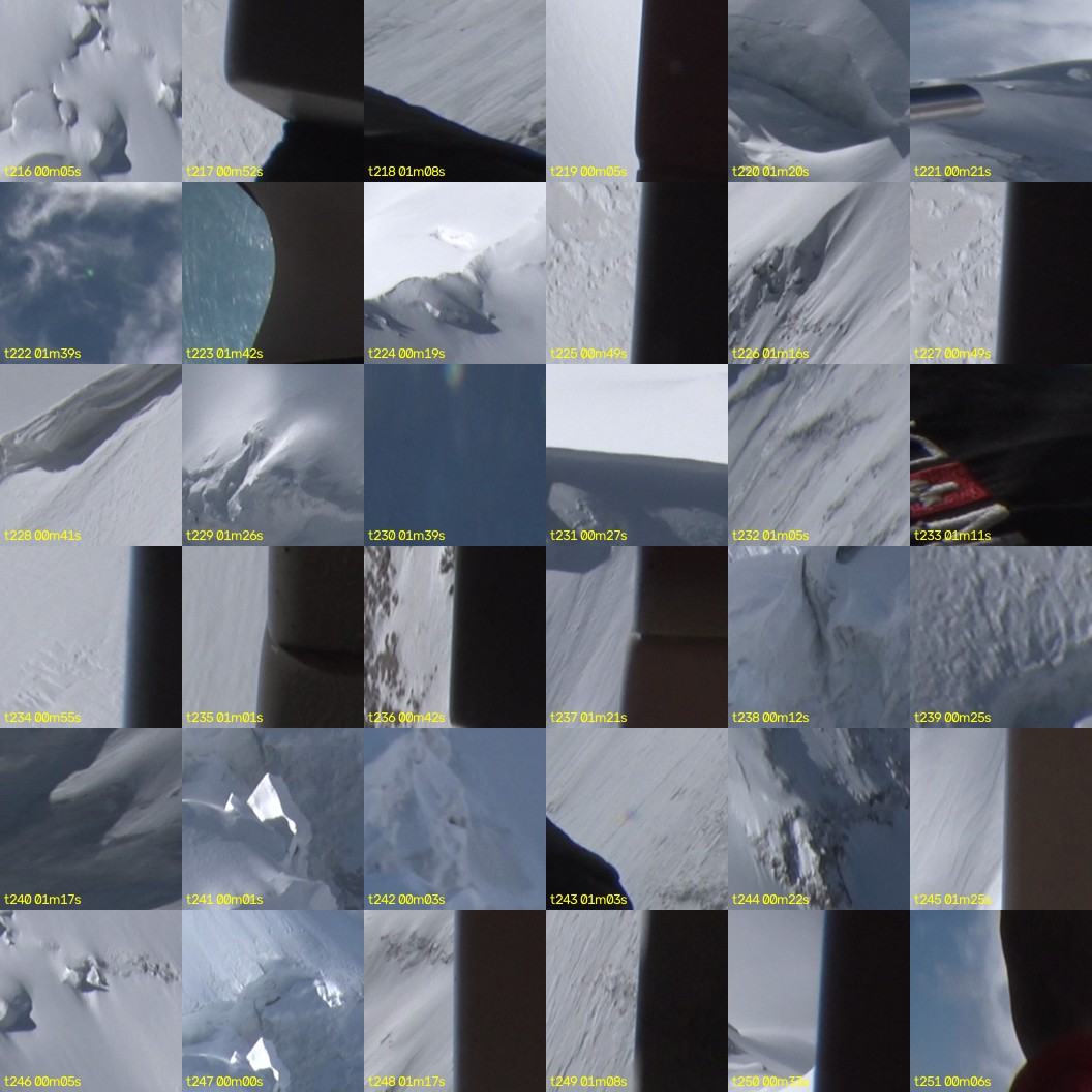 montage_06.jpg