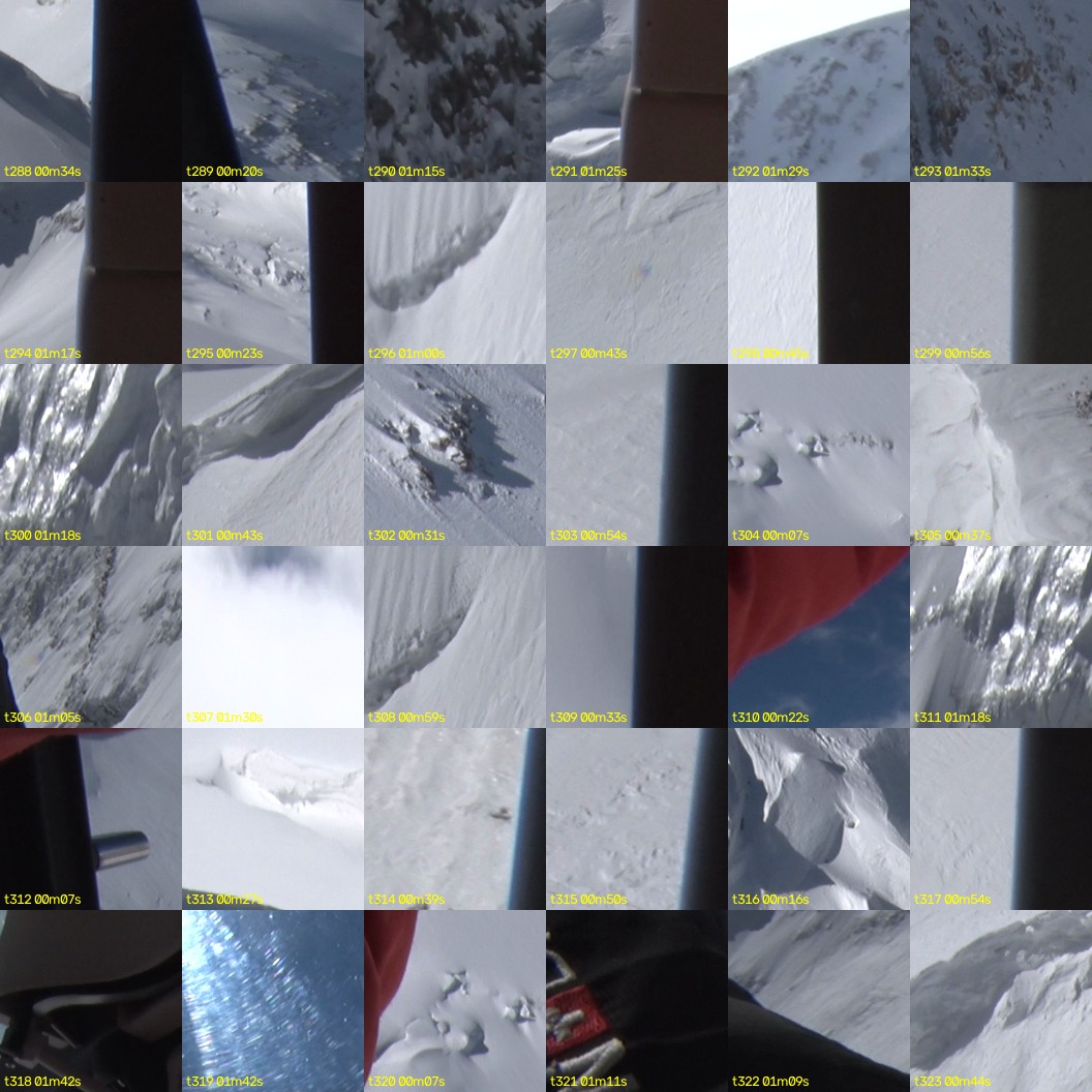 montage_08.jpg