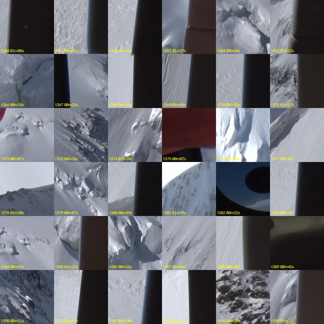 montage_10.jpg