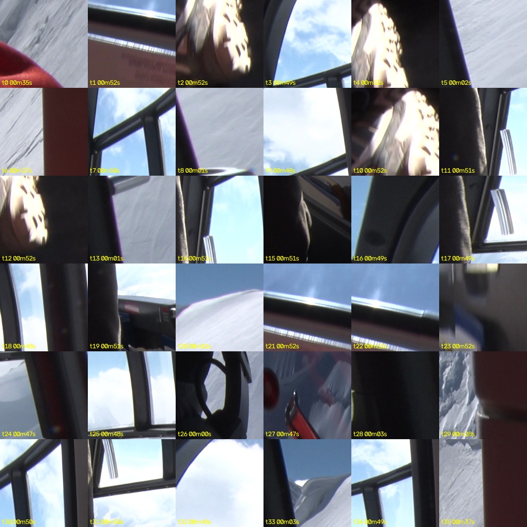 montage_00.jpg
