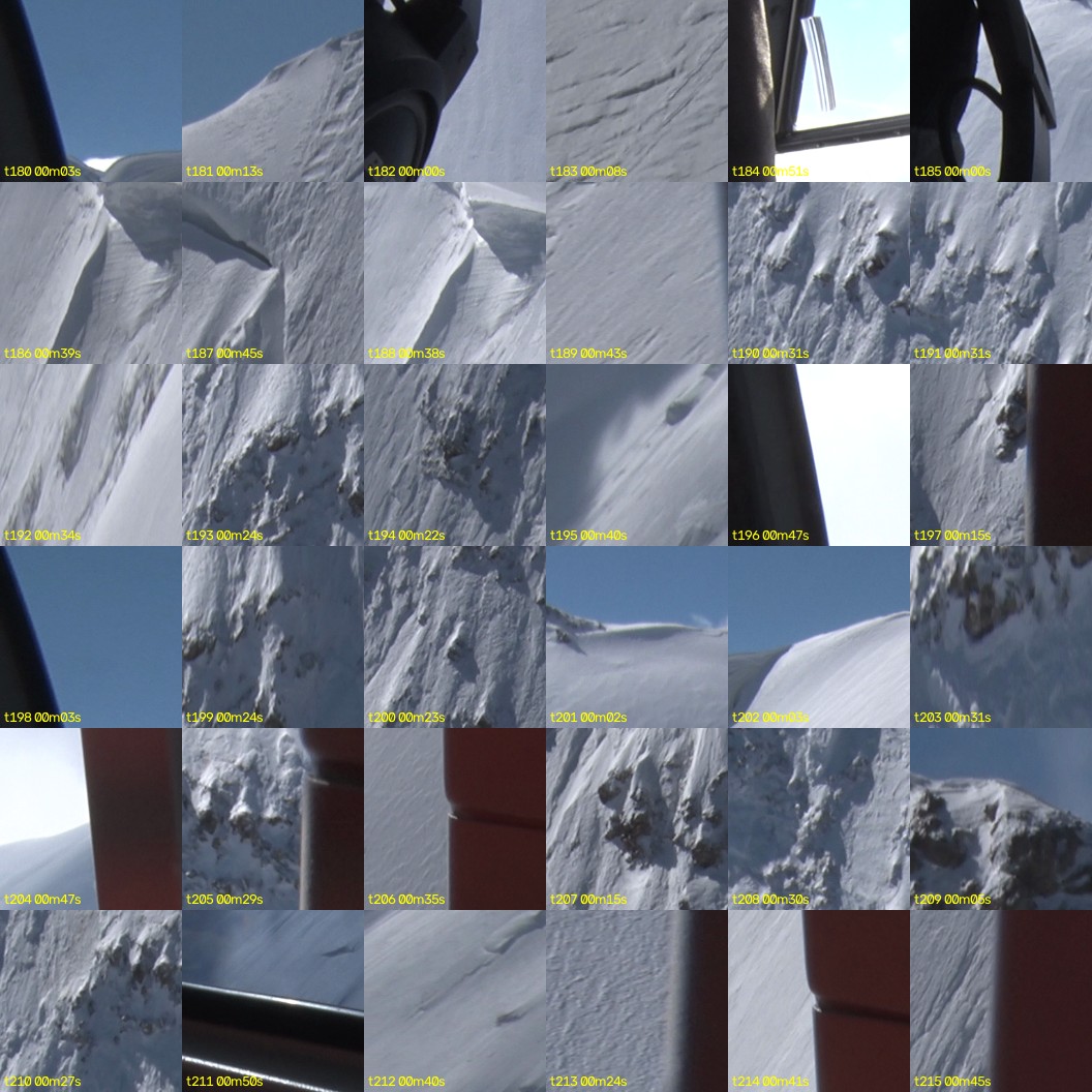 montage_05.jpg