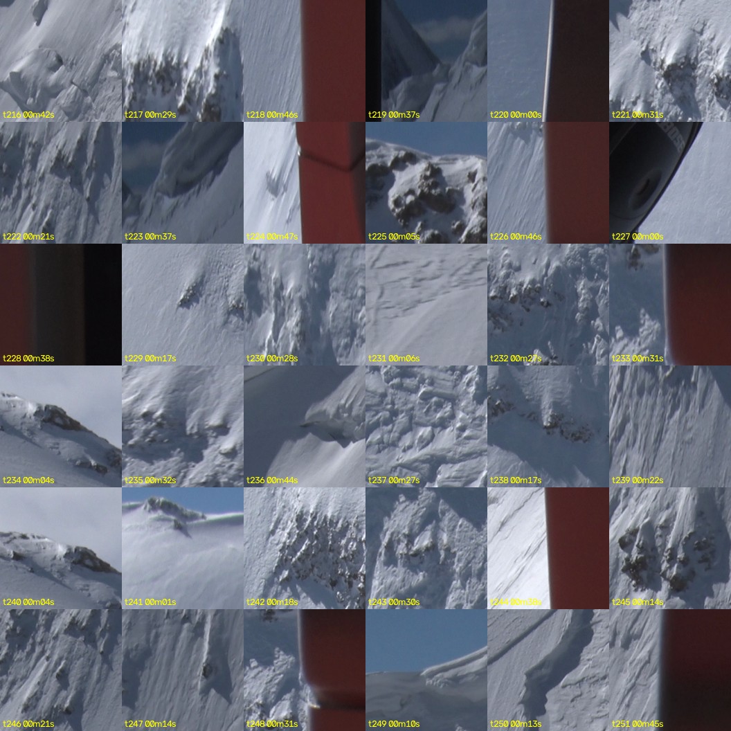 montage_06.jpg