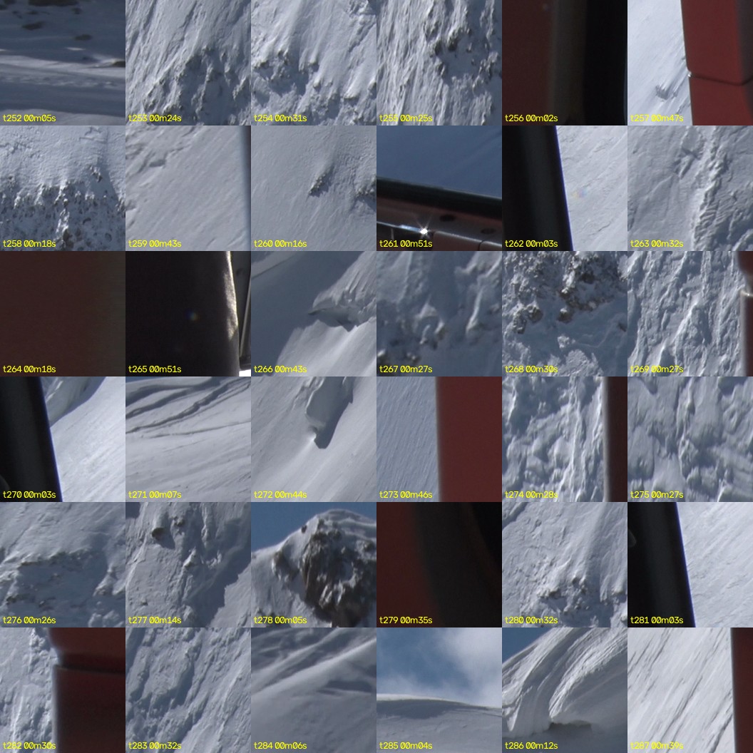 montage_07.jpg