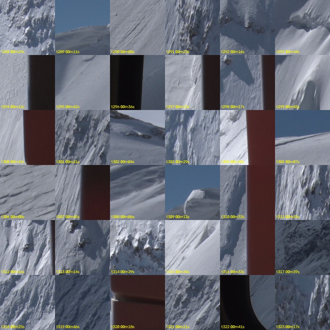 montage_08.jpg