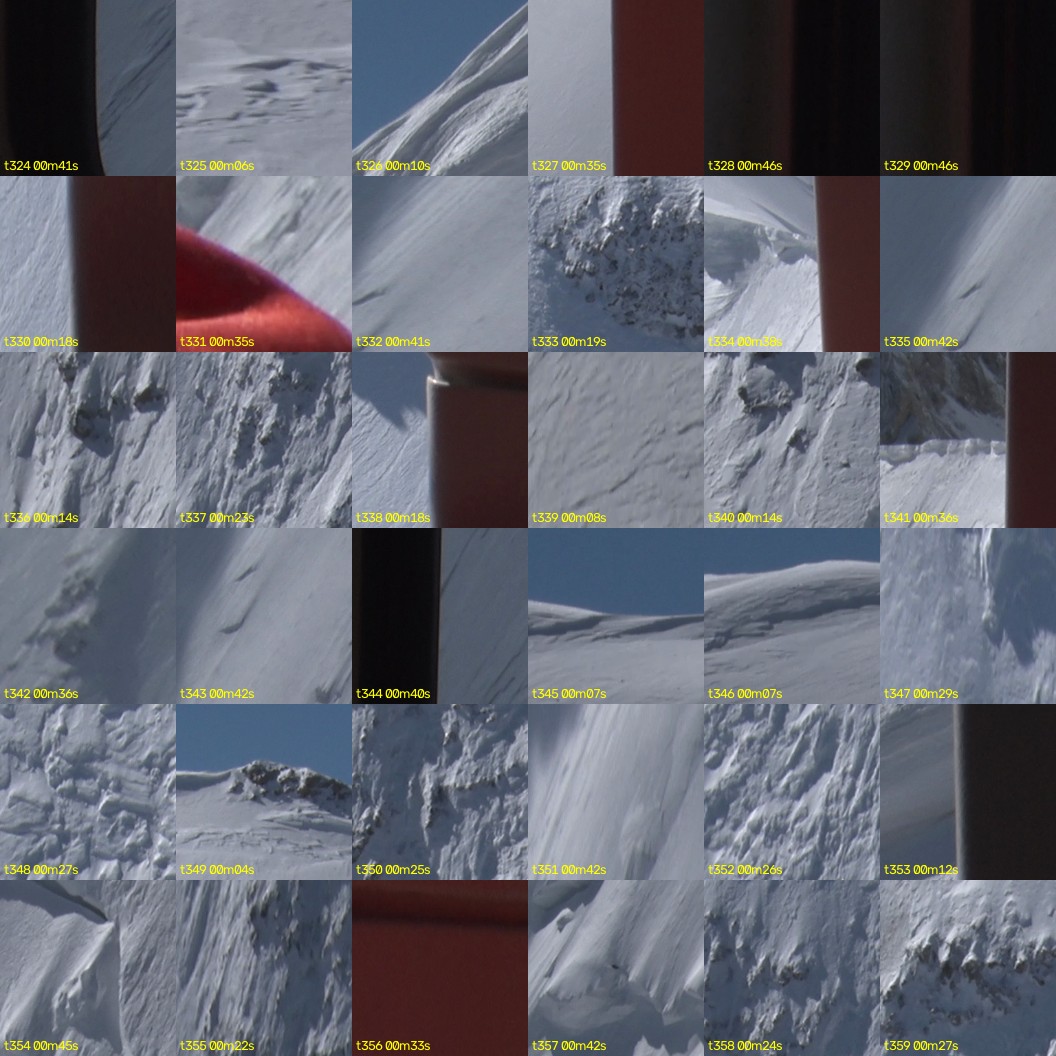 montage_09.jpg