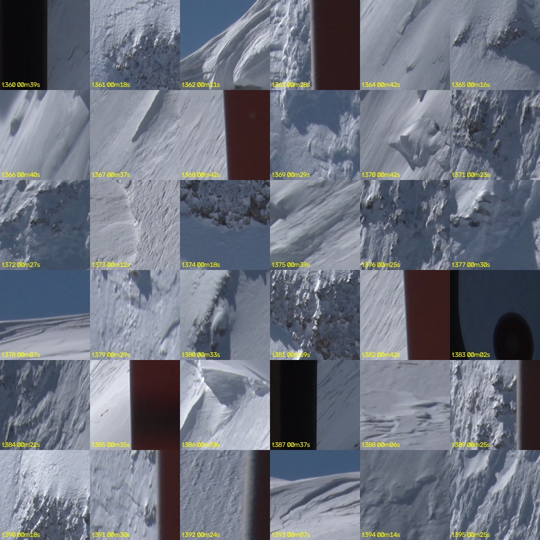 montage_10.jpg