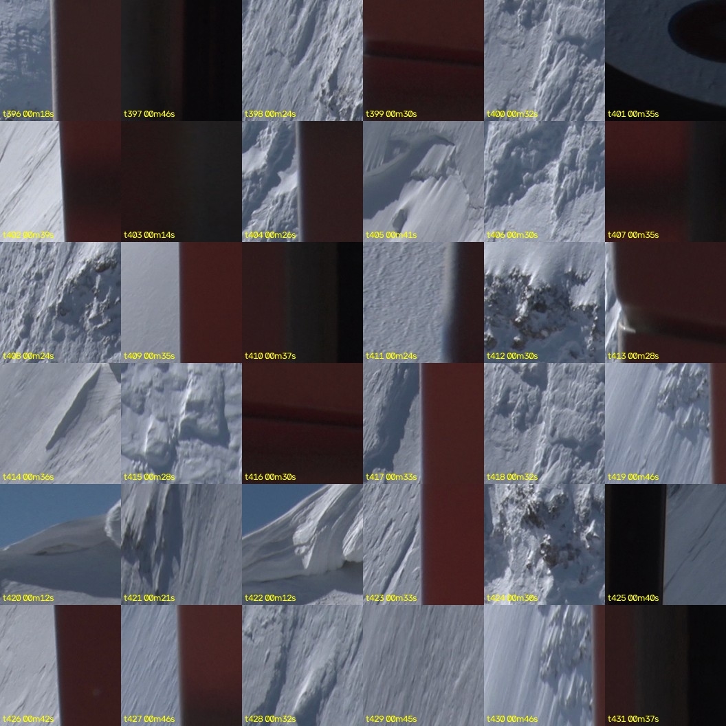 montage_11.jpg