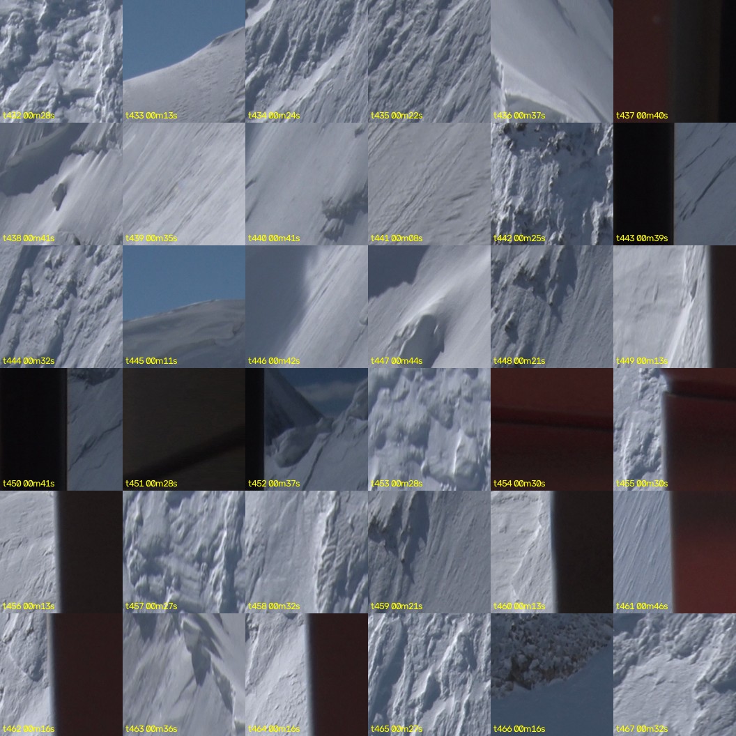 montage_12.jpg