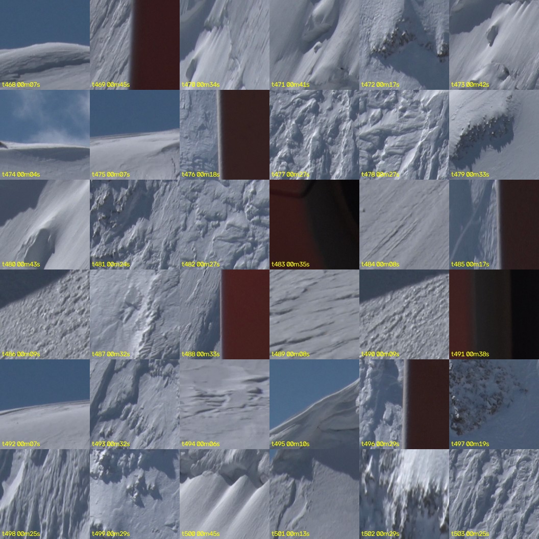 montage_13.jpg