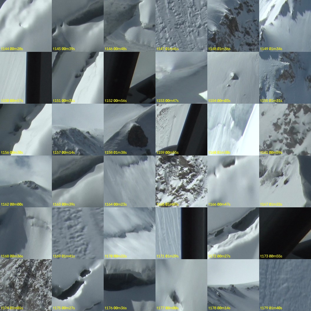 montage_04.jpg