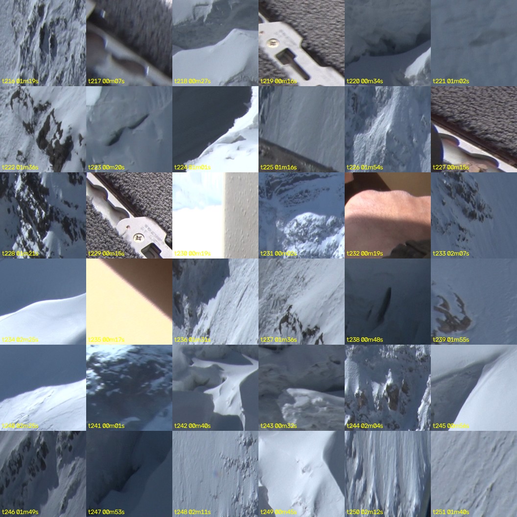 montage_06.jpg