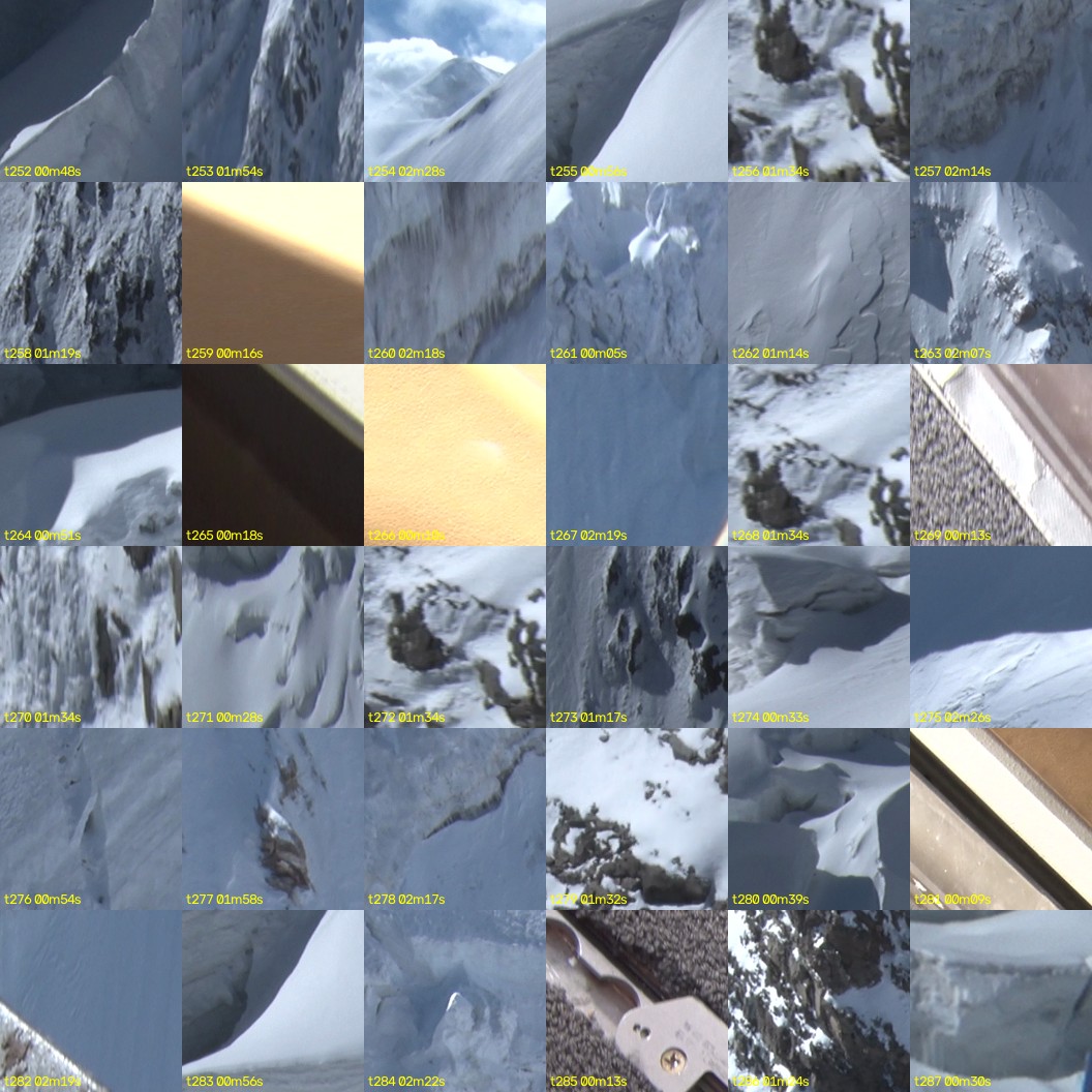 montage_07.jpg