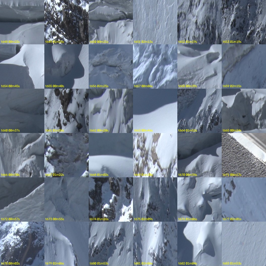 montage_18.jpg