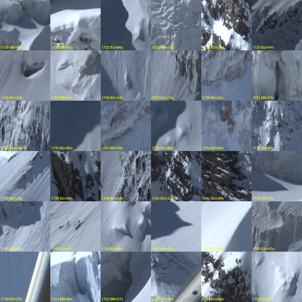montage_20.jpg