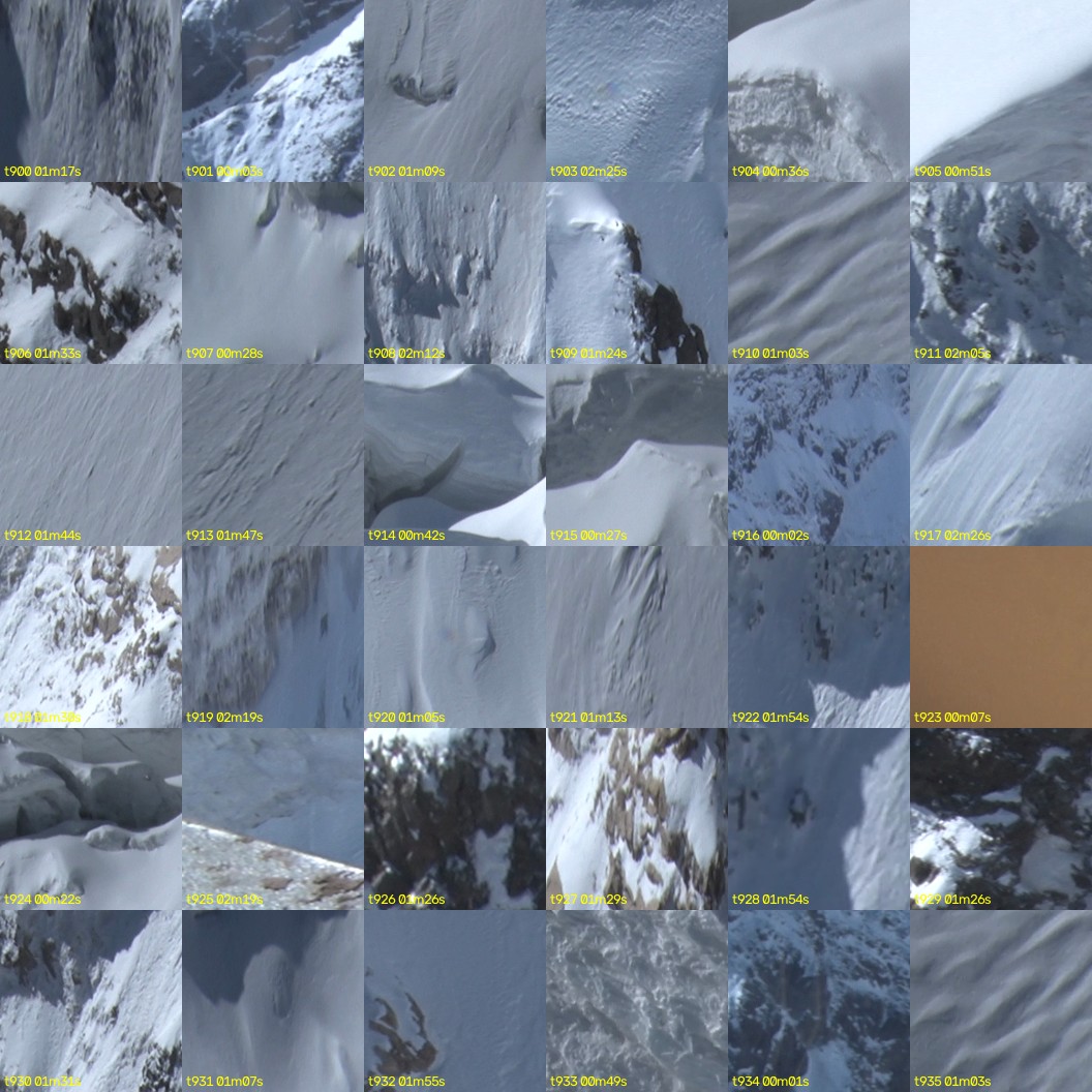 montage_25.jpg