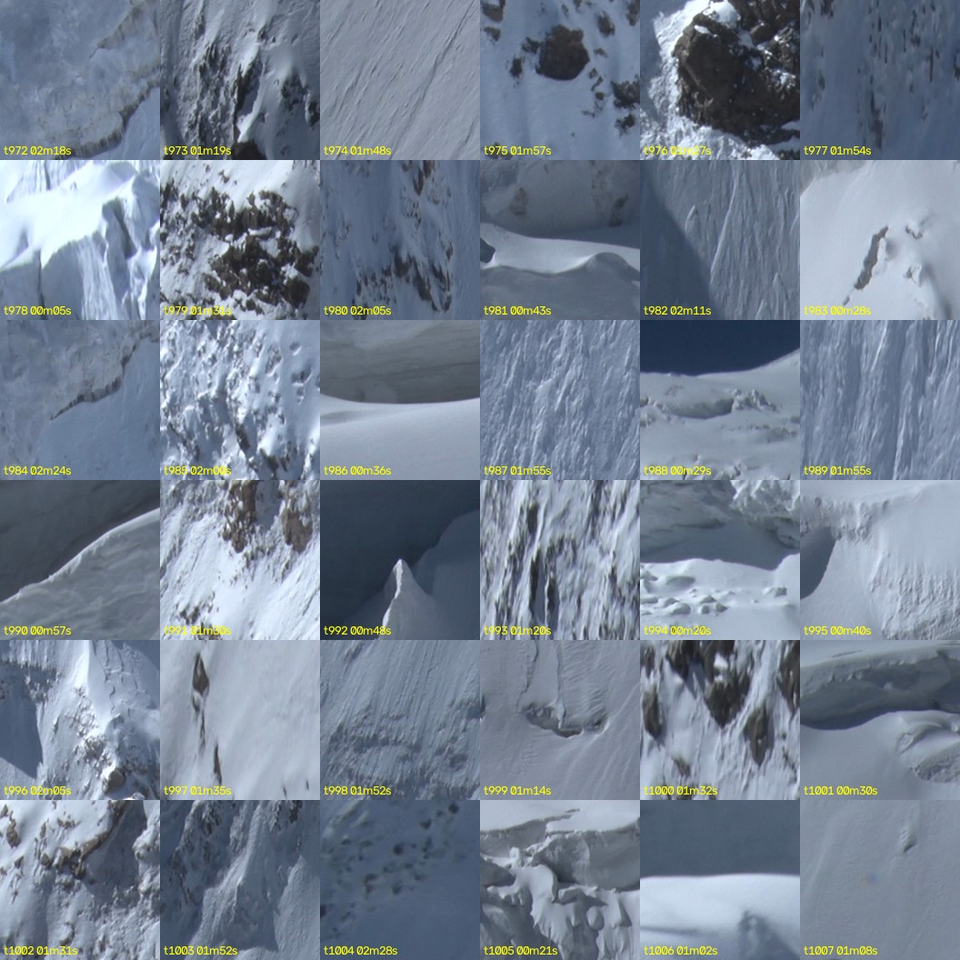 montage_27.jpg