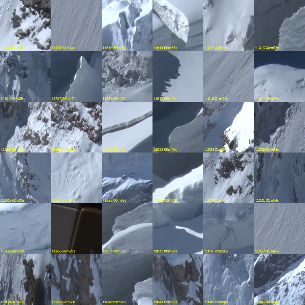 montage_28.jpg