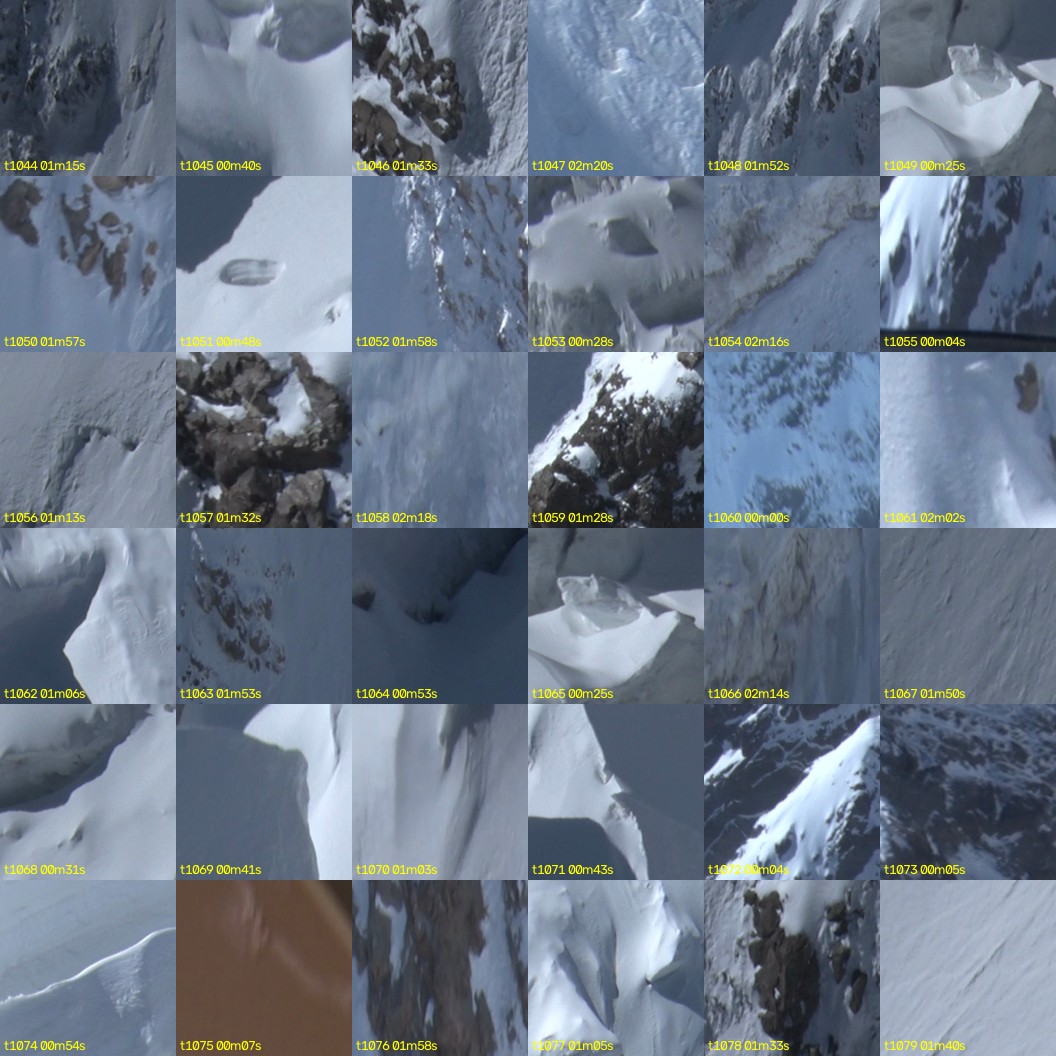 montage_29.jpg