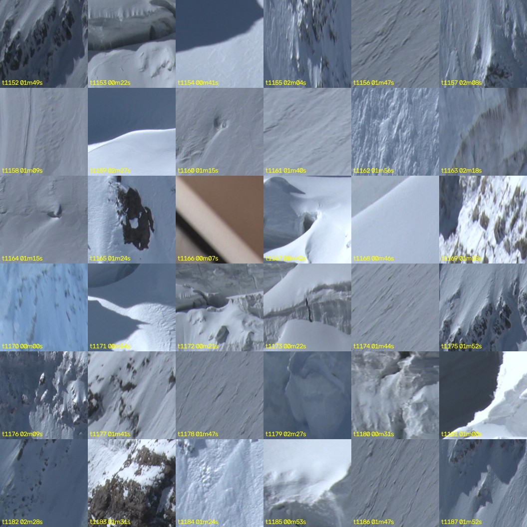 montage_32.jpg