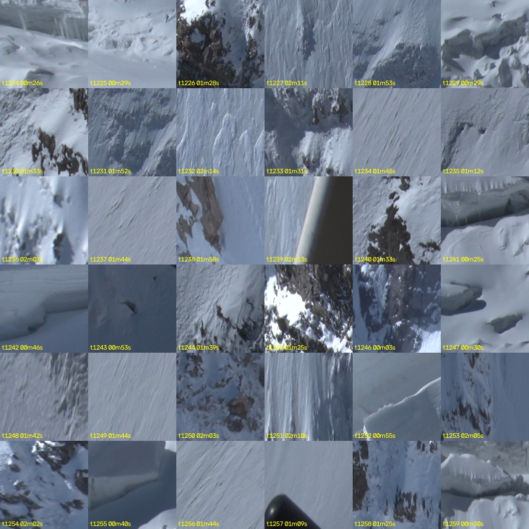 montage_34.jpg