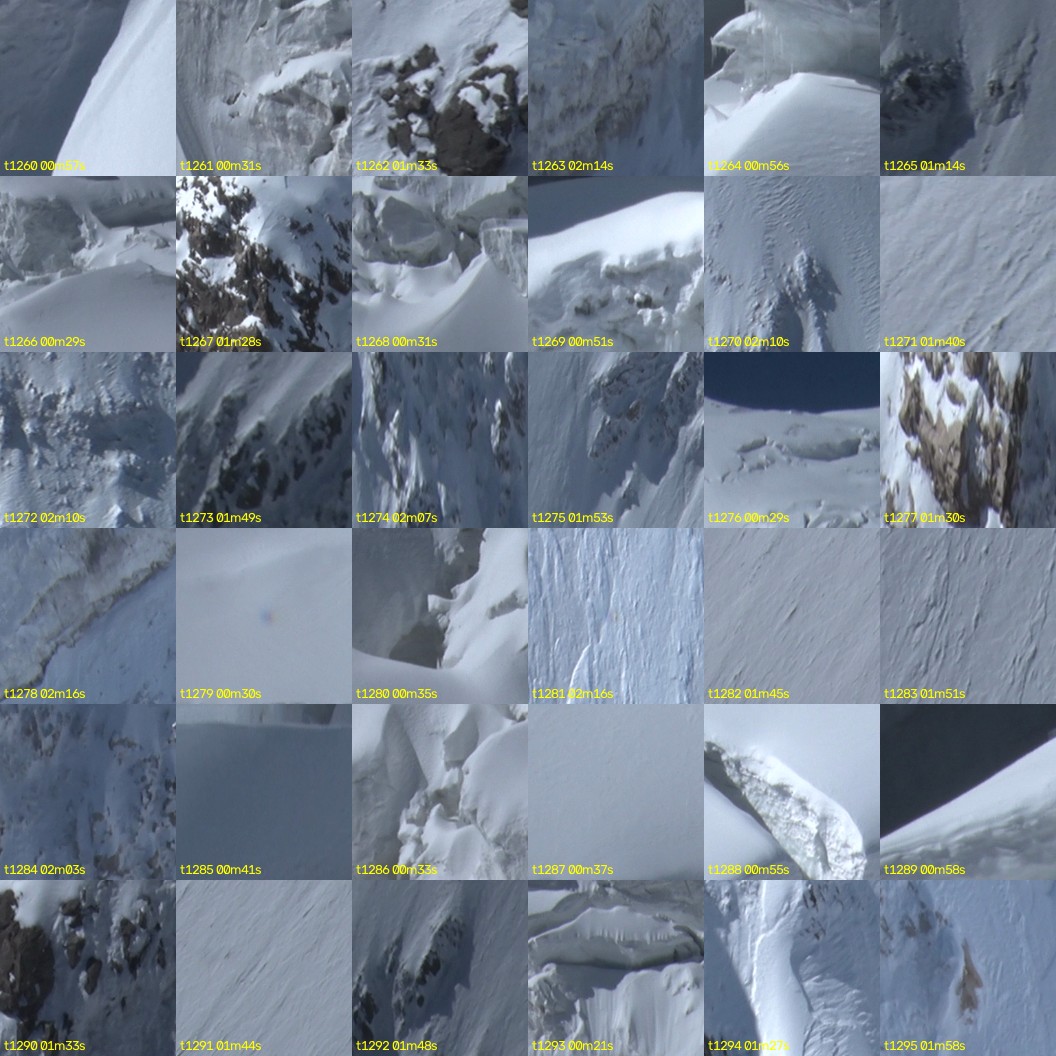 montage_35.jpg
