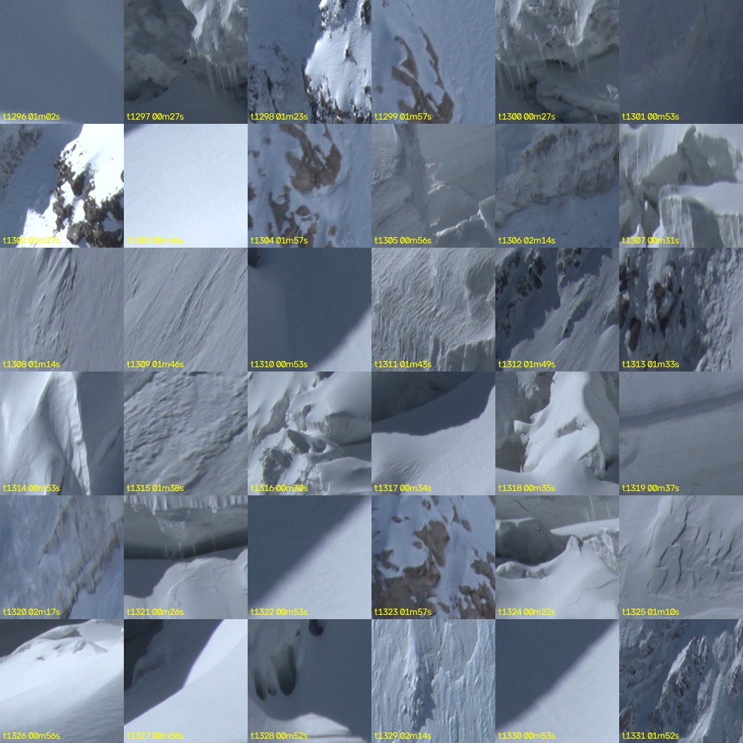 montage_36.jpg