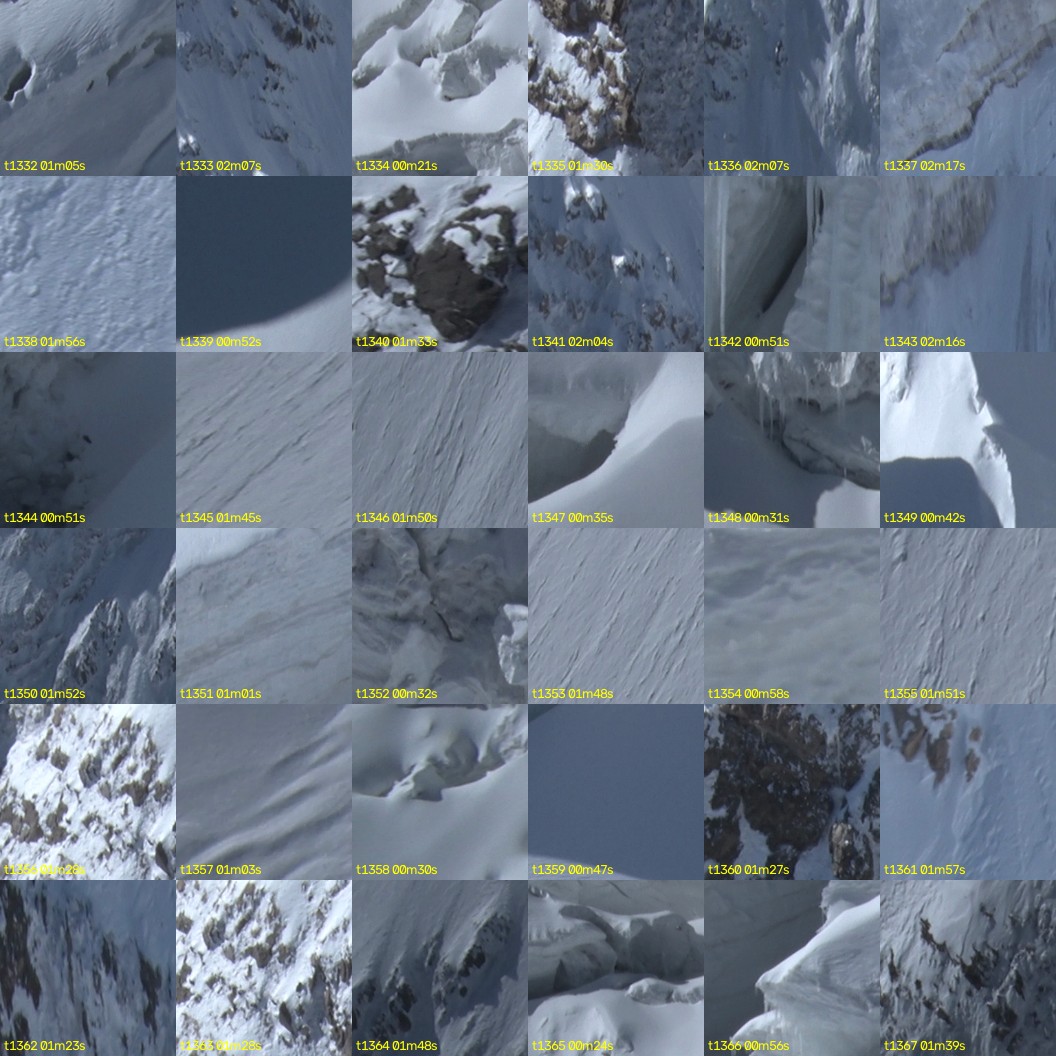montage_37.jpg