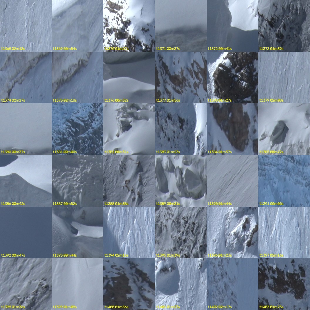 montage_38.jpg