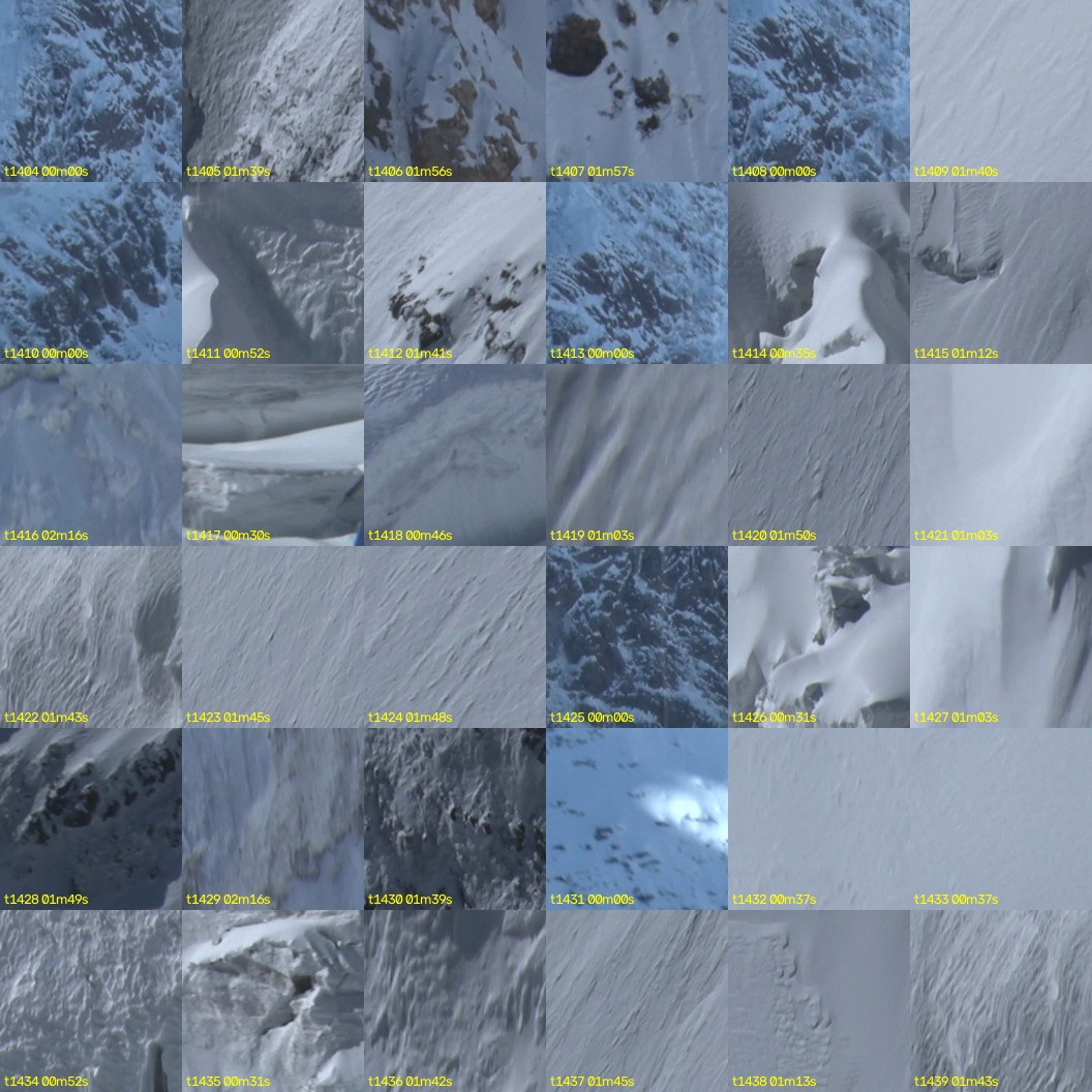 montage_39.jpg