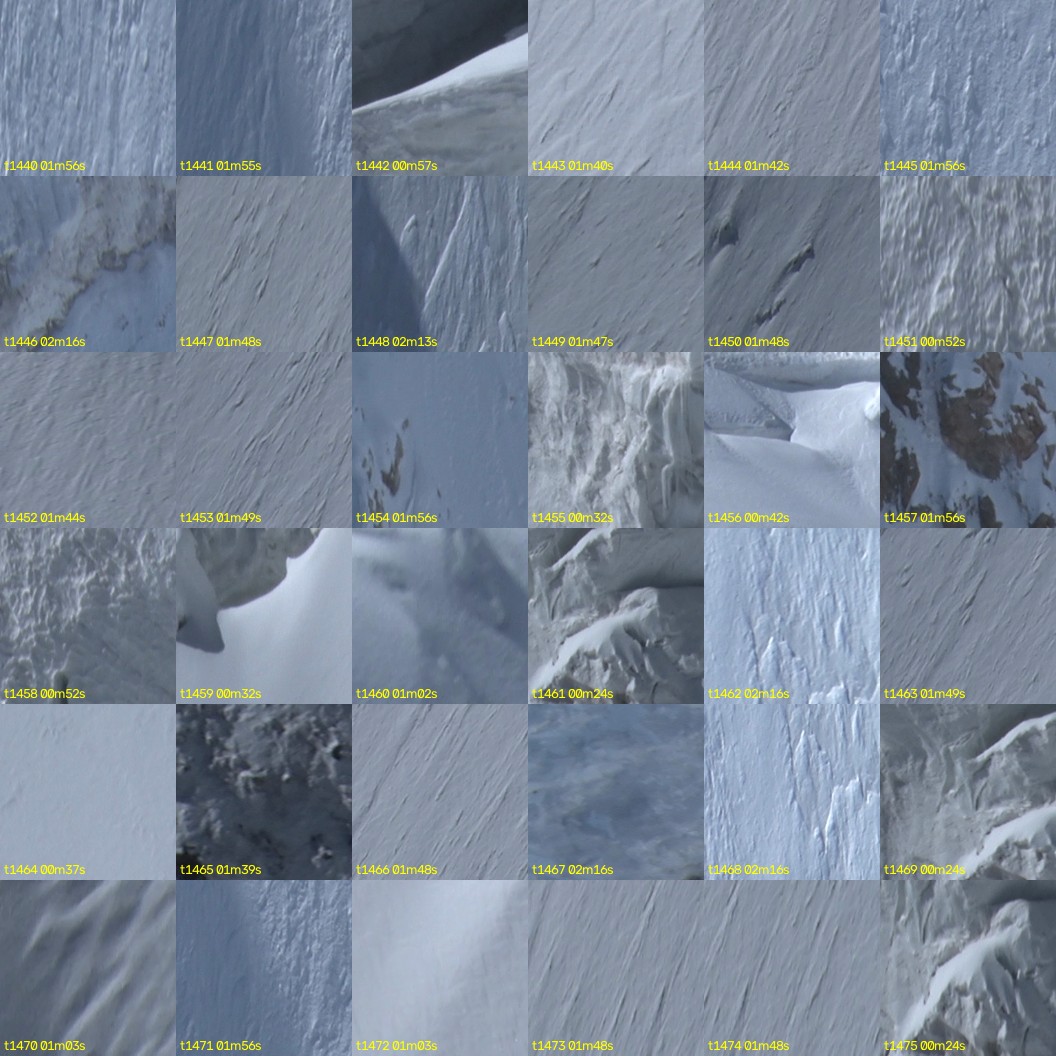 montage_40.jpg