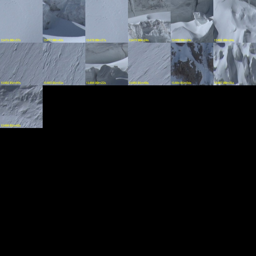 montage_41.jpg