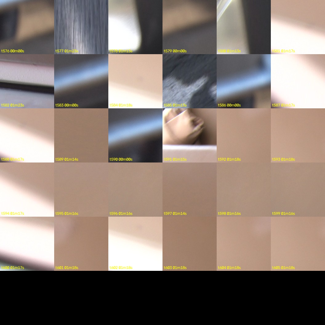 montage_16.jpg