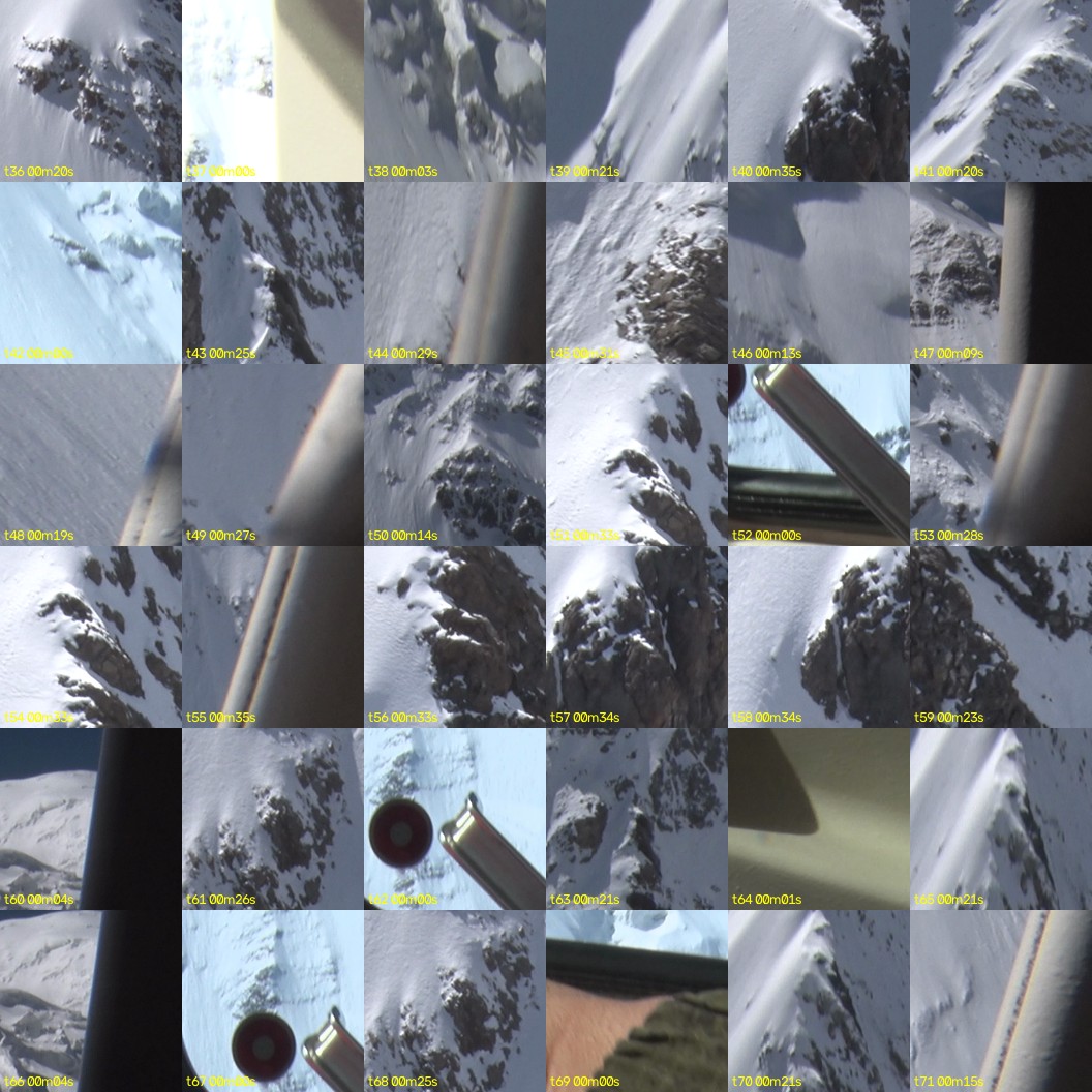 montage_01.jpg