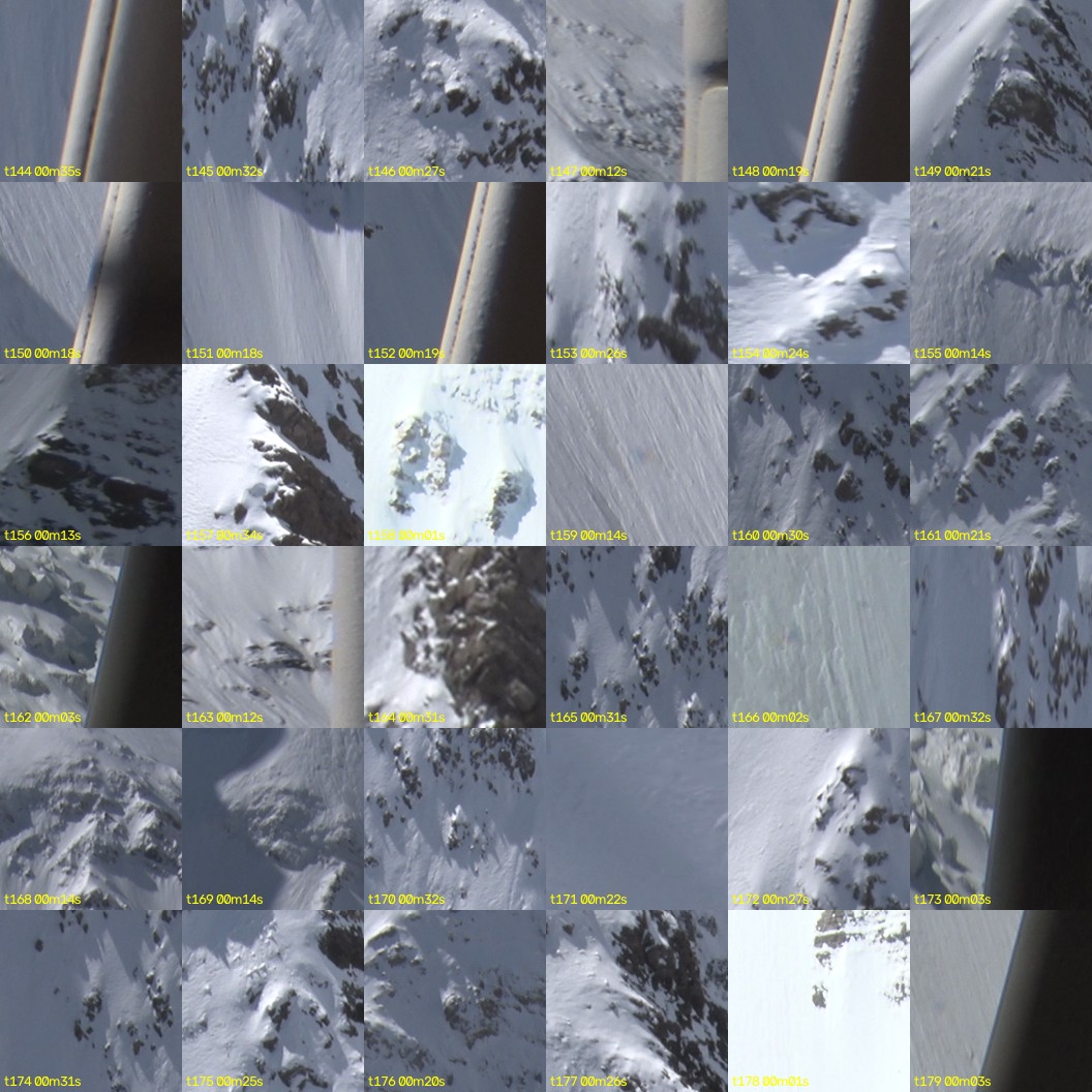 montage_04.jpg