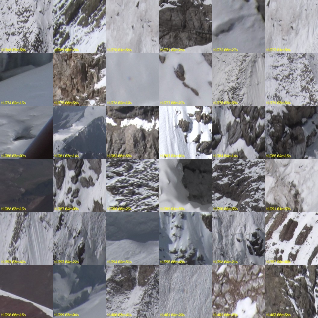 montage_38.jpg